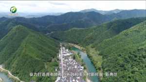 【和美乡村满天星——乡镇党委书记话振兴】王严历：聚焦“五微”模式构建乡村治理“大格局”