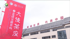 大使茶座走进安徽祁门  张明 张亚强等出席