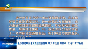 全力推进项目建设提速提质提效 凌云与钱超陈映年一行举行工作会谈