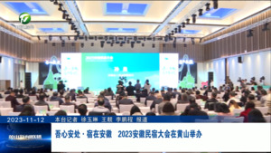 吾心安· 宿在安徽  2023安徽民宿大会在黄山举办
