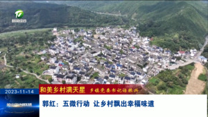 郭红：五微行动，让乡村飘出幸福味道【和美乡村满天星——乡镇党委书记话振兴】