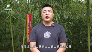 黄山区董家湾村（百名村官话振兴）