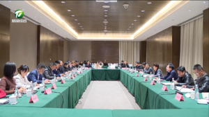 凌云与司云聪等企业家举行工作会谈