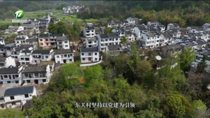 【百名村官话振兴】高新区东关村