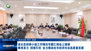 凌云在招商小组工作情况专题汇报会上强调 精准发力 招强引优 全力推动全市经济社会高质量发展