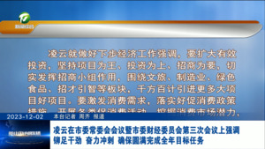 凌云在市委常委会会议暨市委财经委员会第三次会议上强调 铆足干劲 奋力冲刺 确保圆满完成全年目标任务