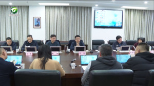 何毅与罗丁一行举行工作会谈