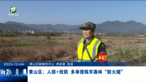 黄山区：人防+技防 多举措筑牢森林“防火墙”