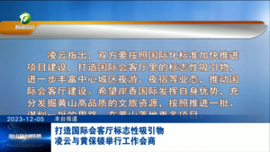 打造国际会客厅标志性吸引物 凌云与黄保锁举行工作会商