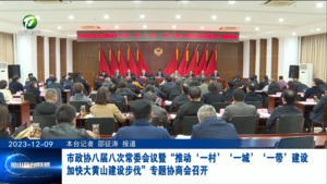 市政协八届八次常委会议暨“推动‘一村’‘一城’‘一带’建设，加快大黄山建设步伐”专题协商会召开