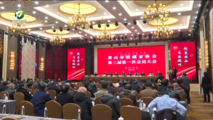 简讯:市收藏家协会选举产生新-届理事会