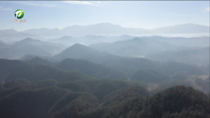 歙县： 群山云海如丹青画卷