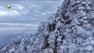 黄山风景区迎来今冬首场降雪