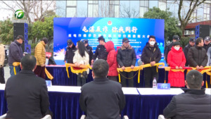 反电诈健步走暨屯溪公安分局退赃大会举行