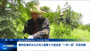 简讯：徽州区杨村乡山口村入选第十六批全省“一村一品”示范村镇
