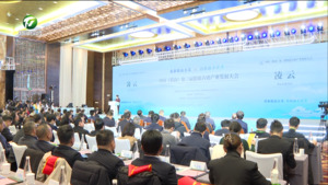 传承徽派古建 创新融合发展 中国（黄山）第三届徽派古建产业发展大会开幕