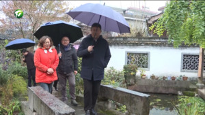 单向前在我市调研时要求 在发展中保护 在保护中发展