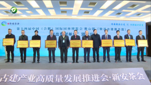 古建产业高质量发展推进会·新安茶会举行 王恒来等出席