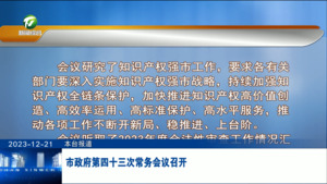 市政府第四十三次常务会议召开