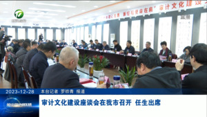 审计文化建设座谈会在我市召开 任生出席