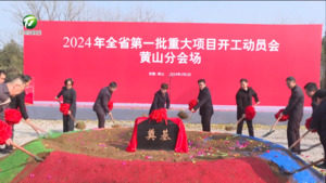 我市一批重大项目集中开工 凌云宣布开工令 何毅讲话