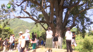 简讯：休宁县溪口镇祖源村入选第三批“全国乡村治理示范村”