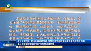 凌云赴徽州区黄山区调研时强调 加快打造世界级休闲度假康养旅游目的地 真正把资源优势转化为产业优势发展胜势