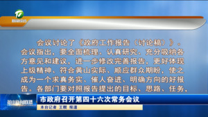 市政府召开第四十六次常务会议