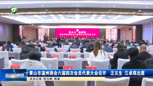 黄山市温州商会六届四次会员代表大会召开  汪义生 江卓琪出席