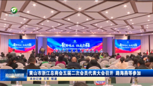 黄山市浙江总商会五届二次会员代表大会召开 路海燕等参加