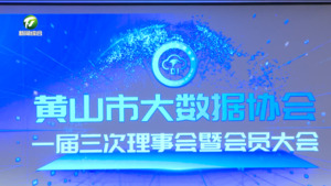 市大数据协会一届三次理事会暨会员大会举行