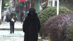 本周全市持续低温冰冻天气