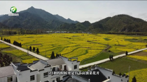 百名村官话振兴：黄山区郭村村