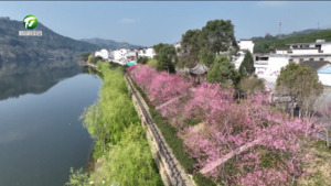 赵晓晶：深耕文旅谋发展 （代表委员风采）