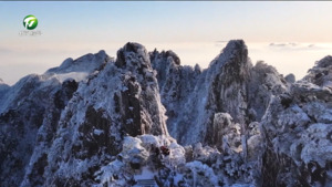 黄山:雪后初霁 美景如画