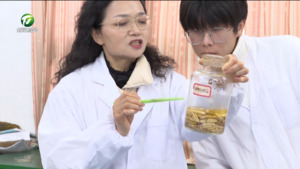 苏胜荣：坚守育人初心 践行委员担当 （代表委员风采）