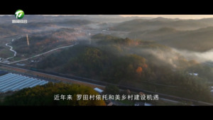 百名村官话振兴：徽州区罗田村