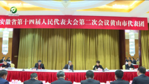 黄山代表团审议省人大常委会和省“两院”工作报告