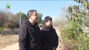 【代表委员风采】李志平：用心用情守护“一江清水出新安”