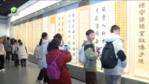 “大湾区青少年书法展”在我市开展