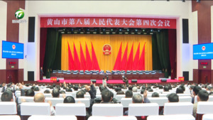 市八届人大四次会议举行预备会议