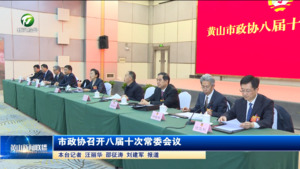市政协召开八届十次常委会议