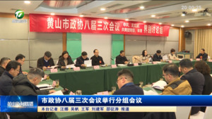 市政协八届三次会议举行分组会议