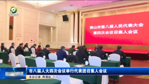 市八届人大四次会议举行代表团召集人会议