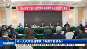 市人大代表分组审议《政府工作报告》