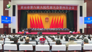 市八届人大四次会议举行第二次全体会议