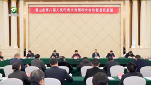 凌云在参加歙县代表团审议时指出 迎接新挑战 展现新作为 在全省全市发展格局中彰显歙县分量和担当