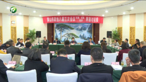 凌云在参加市政协委员分组讨论时强调 充分发挥政协建言资政作用 高质量推进大黄山核心高地建设