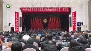 市政协八届三次会议举行第二次全体会议