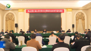 肖善武参加休宁县代表团审议时指出 扛牢责任 奋勇争先 推动高质量发展